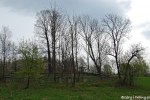 Filename=ESC_1563.jpg
Filesize=290KB
Dimensions=1024x683
Date added=May 03, 2010 ESC_1563.jpg