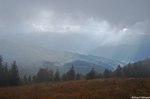 Filename=ESC_5005.jpg
Filesize=291KB
Dimensions=1024x681
Date added=Oct 05, 2010 ESC_5005.jpg
