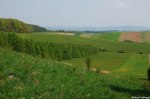 Filename=ESC_6399.jpg
Filesize=301KB
Dimensions=1024x681
Date added=May 04, 2011 ESC_6399.jpg