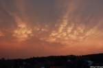Filename=ESC_7739.jpg
Filesize=189KB
Dimensions=1024x681
Date added=Jul 15, 2011 ESC_7739.jpg