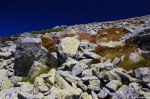 Filename=ESC_9797.jpg
Filesize=334KB
Dimensions=1024x681
Date added=Aug 22, 2011 ESC_9797.jpg