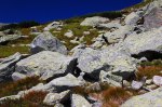 Filename=ESC_9829.jpg
Filesize=334KB
Dimensions=1024x681
Date added=Aug 22, 2011 ESC_9829.jpg
