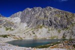 Filename=ESC_9850.jpg
Filesize=321KB
Dimensions=1024x681
Date added=Aug 22, 2011 ESC_9850.jpg