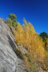 Filename=DSC_2927.jpg
Filesize=390KB
Dimensions=685x1024
Date added=Oct 20, 2011 DSC_2927.jpg