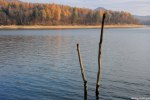 Filename=DSC_3276.jpg
Filesize=301KB
Dimensions=1024x685
Date added=Nov 26, 2011 DSC_3276.jpg
