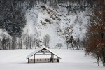 Filename=DSC_3726.jpg
Filesize=433KB
Dimensions=1024x683
Date added=Feb 01, 2012 DSC_3726.jpg