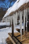 Filename=DSC_3842.jpg
Filesize=351KB
Dimensions=685x1024
Date added=Feb 01, 2012 DSC_3842.jpg