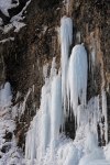 Filename=DSC_4184.jpg
Filesize=326KB
Dimensions=685x1024
Date added=Feb 15, 2012 DSC_4184.jpg