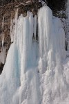 Filename=DSC_4214.jpg
Filesize=326KB
Dimensions=685x1024
Date added=Feb 15, 2012 DSC_4214.jpg