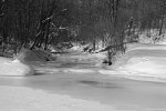 Filename=DSC_4232.jpg
Filesize=295KB
Dimensions=1024x683
Date added=Feb 15, 2012 DSC_4232.jpg