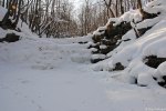 Filename=DSC_4268.jpg
Filesize=296KB
Dimensions=1024x685
Date added=Feb 15, 2012 DSC_4268.jpg