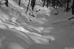 Filename=DSC_4275.jpg
Filesize=182KB
Dimensions=1024x685
Date added=Feb 15, 2012 DSC_4275.jpg
