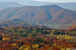 Filename=DSC_7679.jpg
Filesize=330KB
Dimensions=1024x686
Date added=Oct 24, 2012 DSC_7679.jpg