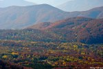 Filename=DSC_7741.jpg
Filesize=351KB
Dimensions=1024x685
Date added=Oct 24, 2012 DSC_7741.jpg