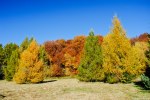 Filename=DSC_7867.jpg
Filesize=420KB
Dimensions=1024x685
Date added=Oct 24, 2012 DSC_7867.jpg