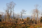 Filename=DSC_8003.jpg
Filesize=368KB
Dimensions=1024x686
Date added=Nov 20, 2012 DSC_8003.jpg
