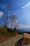 Filename=DSC_1502.jpg
Filesize=278KB
Dimensions=678x1024
Date added=Oct 17, 2013 DSC_1502.jpg