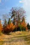 Filename=DSC_1506.jpg
Filesize=350KB
Dimensions=678x1024
Date added=Oct 17, 2013 DSC_1506.jpg