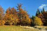 Filename=DSC_1527.jpg
Filesize=416KB
Dimensions=1024x678
Date added=Oct 17, 2013 DSC_1527.jpg