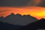 Filename=DSC_1626.jpg
Filesize=189KB
Dimensions=1024x678
Date added=Jan 12, 2014 DSC_1626.jpg