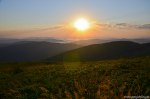 Filename=DSC_4031.jpg
Filesize=237KB
Dimensions=1024x678
Date added=Aug 07, 2014 DSC_4031.jpg