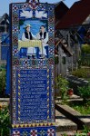 Filename=DSC_4232.jpg
Filesize=303KB
Dimensions=678x1024
Date added=Aug 29, 2014 DSC_4232.jpg