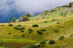 Filename=DSC_4424.jpg
Filesize=278KB
Dimensions=1024x678
Date added=Sep 02, 2014 DSC_4424.jpg