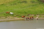 Filename=DSC_4511.jpg
Filesize=286KB
Dimensions=1024x678
Date added=Sep 02, 2014 DSC_4511.jpg
