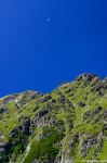 Filename=DSC_8271.jpg
Filesize=274KB
Dimensions=678x1024
Date added=Jan 10, 2016 DSC_8271.jpg