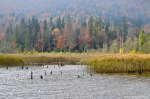 Filename=DSC_9096.jpg
Filesize=333KB
Dimensions=1024x678
Date added=Jan 13, 2016 DSC_9096.jpg