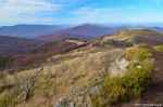 Filename=DSC_9277.jpg
Filesize=324KB
Dimensions=1024x678
Date added=Jan 18, 2016 DSC_9277.jpg