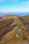 Filename=DSC_9287.jpg
Filesize=274KB
Dimensions=678x1024
Date added=Jan 18, 2016 DSC_9287.jpg