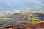 Filename=DSC_9335.jpg
Filesize=308KB
Dimensions=1024x678
Date added=Jan 18, 2016 DSC_9335.jpg