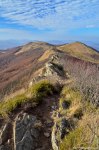 Filename=DSC_9372.jpg
Filesize=333KB
Dimensions=678x1024
Date added=Jan 18, 2016 DSC_9372.jpg