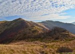 Filename=DSC_9377.jpg
Filesize=271KB
Dimensions=1024x734
Date added=Jan 18, 2016 DSC_9377.jpg