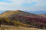 Filename=DSC_9379.jpg
Filesize=302KB
Dimensions=1024x678
Date added=Jan 18, 2016 DSC_9379.jpg