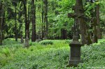 Filename=DSC_0028.jpg
Filesize=299KB
Dimensions=1024x678
Date added=May 22, 2016 DSC_0028.jpg