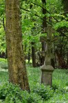 Filename=DSC_0033.jpg
Filesize=270KB
Dimensions=678x1024
Date added=May 22, 2016 DSC_0033.jpg