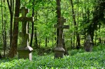 Filename=DSC_0035.jpg
Filesize=305KB
Dimensions=1024x678
Date added=May 22, 2016 DSC_0035.jpg