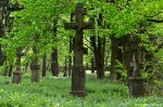 Filename=DSC_0043.jpg
Filesize=300KB
Dimensions=1024x678
Date added=May 22, 2016 DSC_0043.jpg