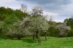 Filename=DSC_0048.jpg
Filesize=285KB
Dimensions=1024x678
Date added=May 22, 2016 DSC_0048.jpg