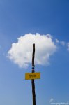 Filename=DSC_0103.jpg
Filesize=275KB
Dimensions=678x1024
Date added=May 23, 2016 DSC_0103.jpg