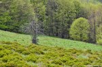 Filename=DSC_0115.jpg
Filesize=275KB
Dimensions=1024x678
Date added=May 23, 2016 DSC_0115.jpg