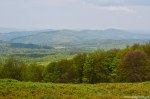 Filename=DSC_0121.jpg
Filesize=278KB
Dimensions=1024x678
Date added=May 23, 2016 DSC_0121.jpg