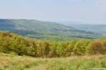 Filename=DSC_0122.jpg
Filesize=316KB
Dimensions=1024x678
Date added=May 23, 2016 DSC_0122.jpg