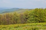 Filename=DSC_0127.jpg
Filesize=306KB
Dimensions=1024x678
Date added=May 23, 2016 DSC_0127.jpg
