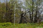 Filename=DSC_0128.jpg
Filesize=334KB
Dimensions=1024x678
Date added=May 23, 2016 DSC_0128.jpg