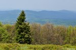 Filename=DSC_0129.jpg
Filesize=319KB
Dimensions=1024x678
Date added=May 23, 2016 DSC_0129.jpg