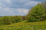 Filename=DSC_0130.jpg
Filesize=277KB
Dimensions=1024x678
Date added=May 23, 2016 DSC_0130.jpg