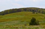 Filename=DSC_0131.jpg
Filesize=337KB
Dimensions=1024x678
Date added=May 23, 2016 DSC_0131.jpg